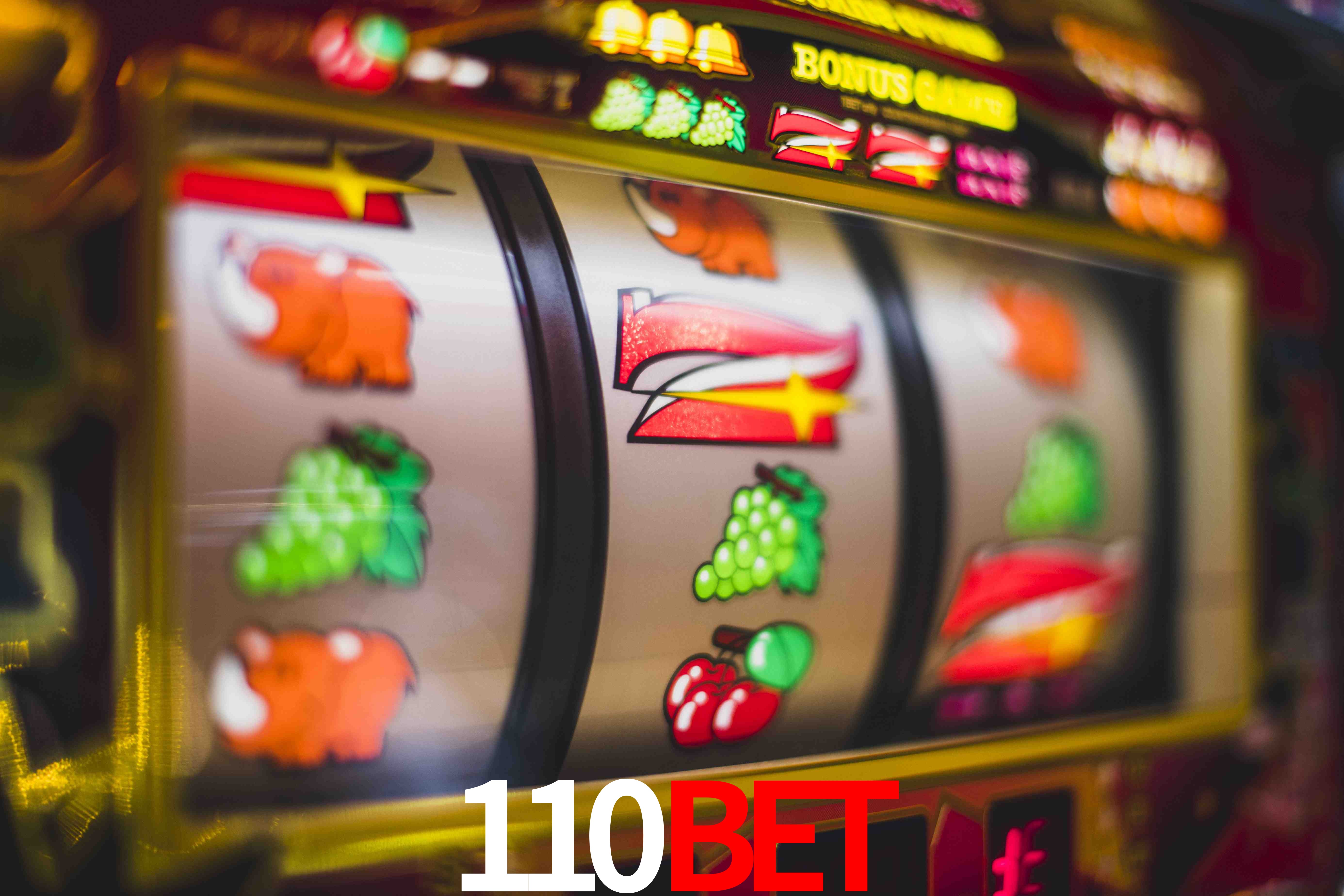 Sports Statistics 110bet